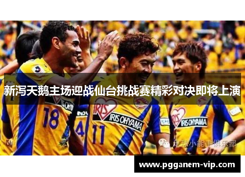 新泻天鹅主场迎战仙台挑战赛精彩对决即将上演