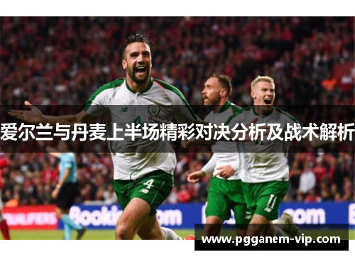 爱尔兰与丹麦上半场精彩对决分析及战术解析