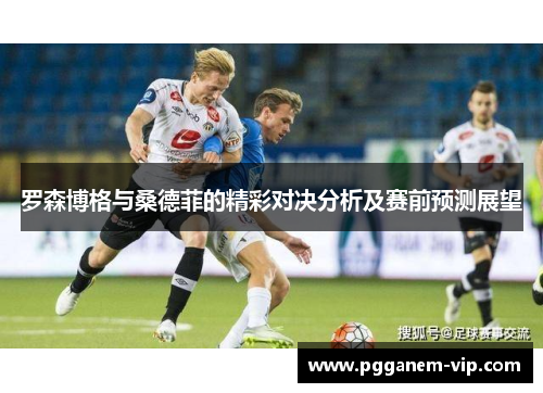 罗森博格与桑德菲的精彩对决分析及赛前预测展望